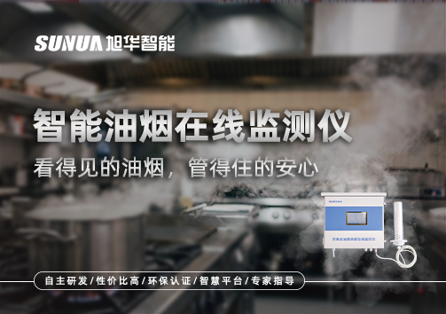 智能油烟在线监测仪：看得见的油烟，管得住的安心
